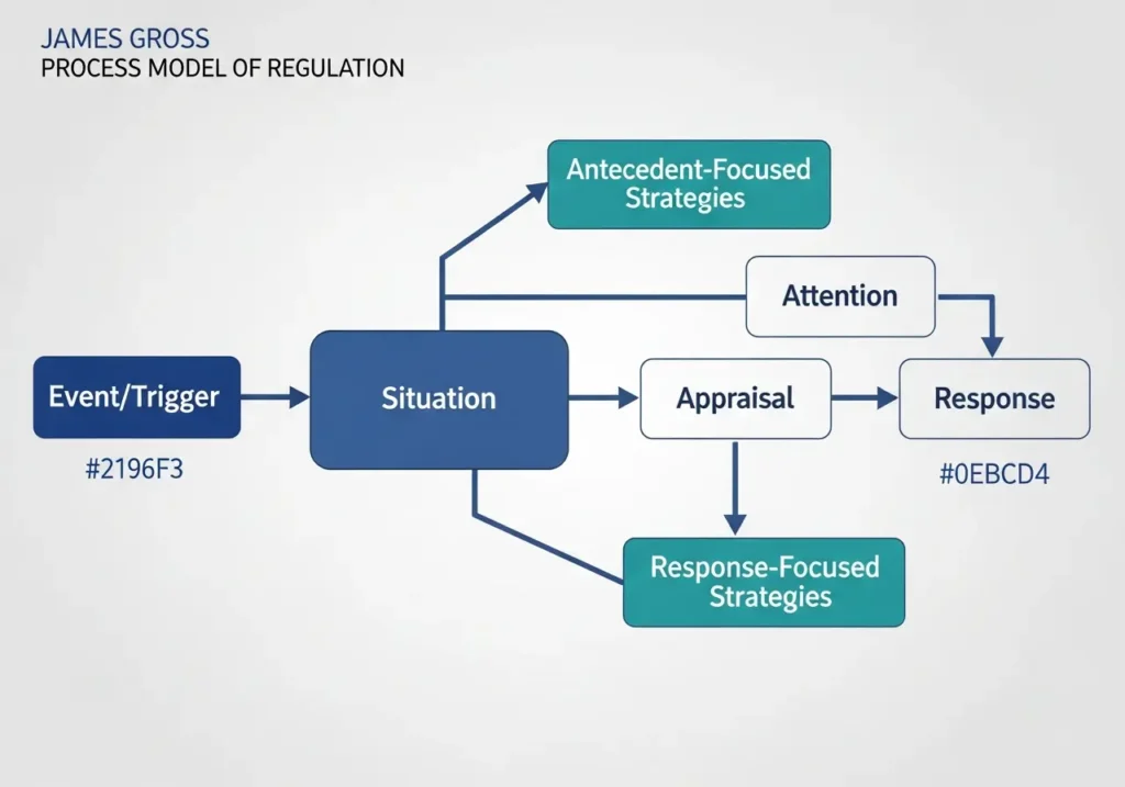 A flowchart diagram illustrating James Gross's Process Model of Emotional Regulation, showing the difference between antecedent-focused and response-focused strategies.